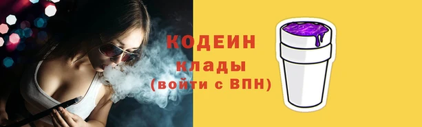 крисы Новодвинск