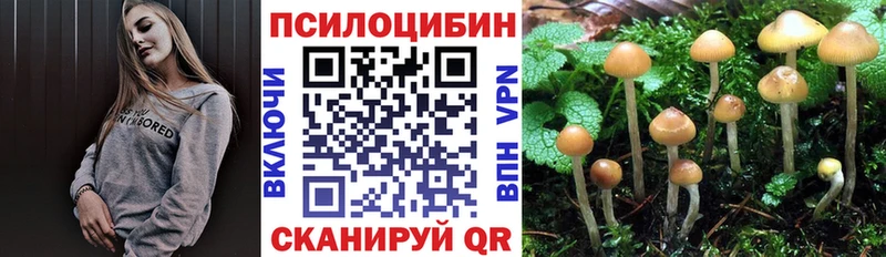 darknet какой сайт  omg сайт  Алатырь  цена   Псилоцибиновые грибы Cubensis 