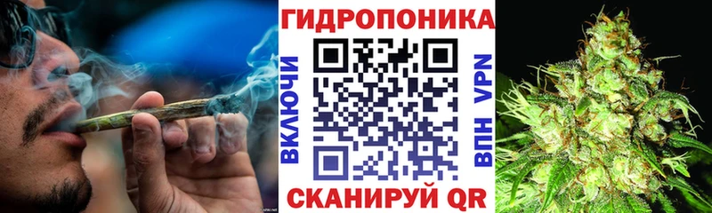 Бошки Шишки AK-47  Алатырь 